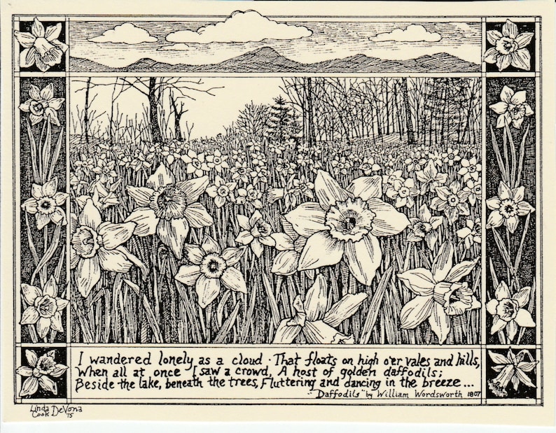 Daffodils-Wordsworth poem: 6-pack of blank, ivory notecards w envelopes featuring an ink drawing by LC DeVona, Afton, NY-of golden daffodils image 1