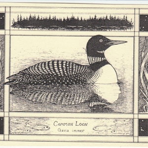 May include: A black and white illustration of a Common Loon, also known as Gavia immer, swimming in a lake. The loon is depicted with its head turned to the right, and its body is partially submerged in the water. The illustration is surrounded by a decorative border with a forest scene at the top and reeds on the sides.