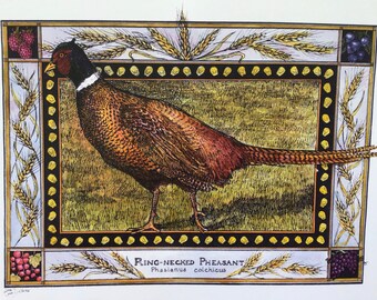 Ring-necked Pheasant : set of 4 color postcards on #80 cardstock drawn by LC DeVona