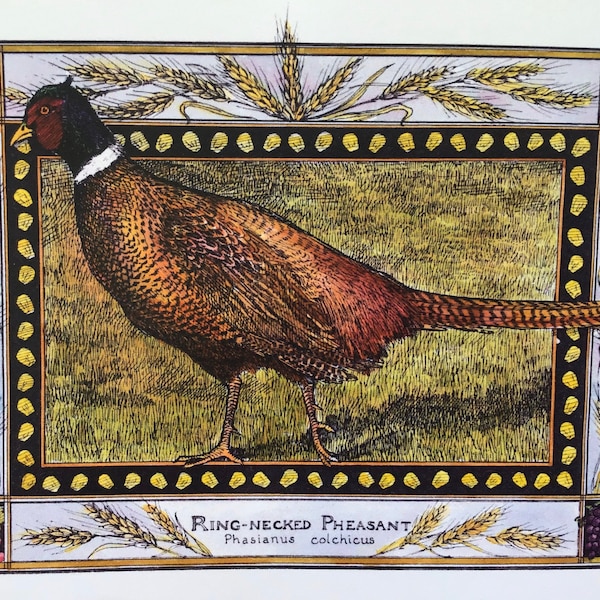 Ring-necked Pheasant : set of 4 color postcards on #80 cardstock drawn by LC DeVona