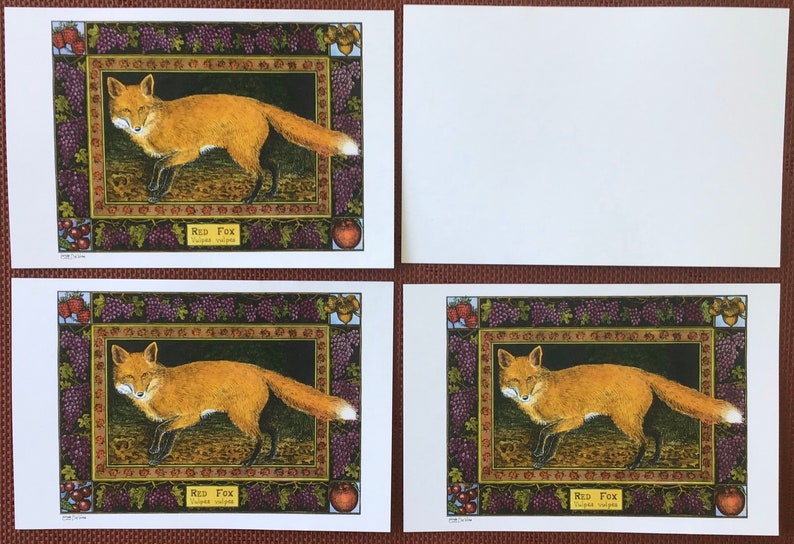 Red Fox set of 4 color postcards on white 80 cardstock drawn by LC DeVona image 5