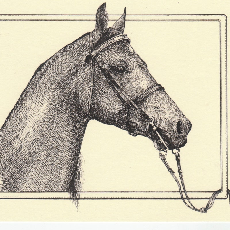 Morgan Horse - Etsy