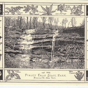 Pixley Falls State Park-This 6-pack of blank, ivory notecards w envelopes features an ink drawing by LC DeVona of Pixley Falls State Park image 1