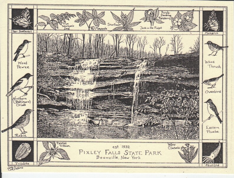 Pixley Falls State Park-This 6-pack of blank, ivory notecards w envelopes features an ink drawing by LC DeVona of Pixley Falls State Park image 1