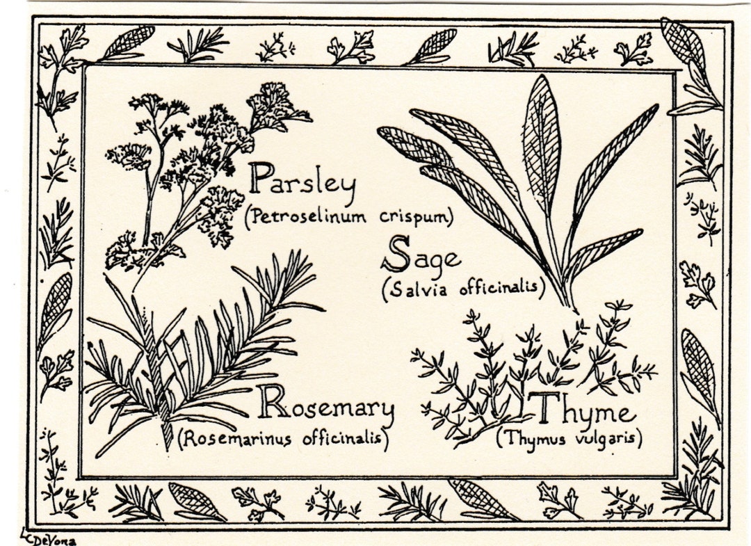SIMON AND GARFUNKEL - Parsley Sage Rosemary & Thyme -Mobile