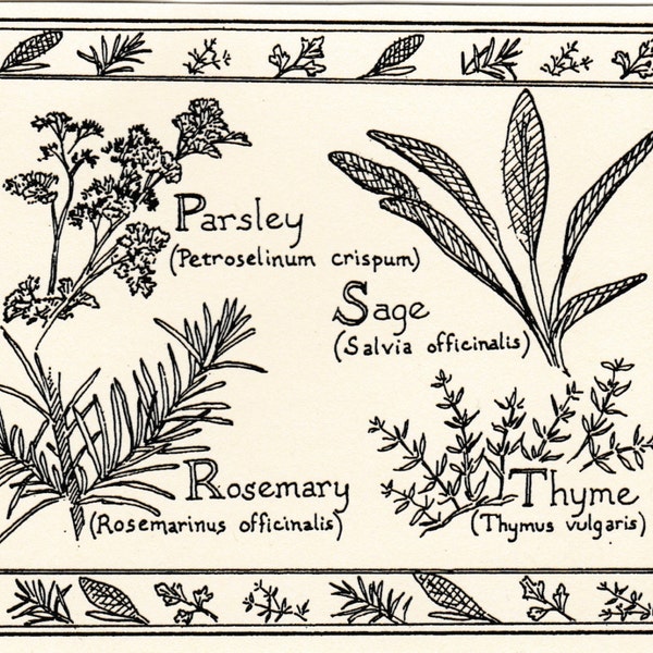 Parsley Sage Rosemary and Thyme Art Print Etsy