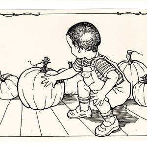 Picking Pumpkins-This 6-pack of blank