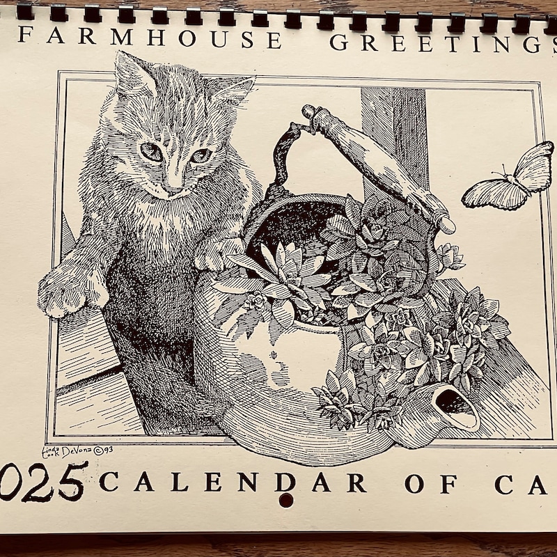 Cats 2025 Calendar Etsy