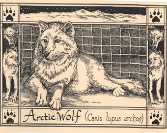 Arctic Wolf: 6-pack of blank, ivory notecards with envelopes drawn by LCDeVona of Farmhouse Greetings, Afton, NY