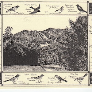 Whiteface Mountain w songbird border-This 6-pack of blank, ivory cards w/envelopes drawn by Linda Cook DeVona feature an Adirondack scene