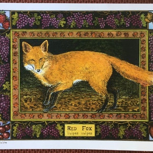 Red Fox set of 4 color postcards on white 80 cardstock drawn by LC DeVona image 1