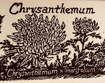 Chrysanthemum: 6-pack of blank, ivory notecards with envelopes designed, carved and printed by LC DeVona of Farmhouse Greetings