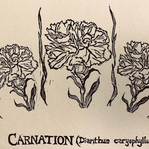 Carnations:  6-pack of blank, ivory notecards with envelopes, designed, carved and printed by LC DeVona of Farmhouse Greetings