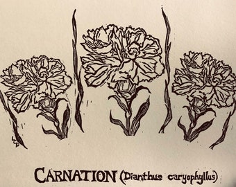 Carnations:  6-pack of blank, ivory notecards with envelopes, designed, carved and printed by LC DeVona of Farmhouse Greetings