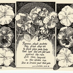 Pansies, Plush Pockets Poem: 6-pack of blank, ivory notecards with envelopes features 9 LC DeVona drawings of pansies with poem by D DeVona