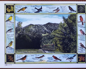 Whiteface Mountain with songbird border- set of 4 colored postcards on heavy cardstock drawn by LC DeVona