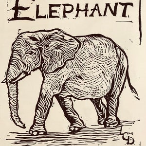 African Bush Elephant (Loxodonta africana) - set of 6 ivory notecards with envelopes created and printed by LC DeVona