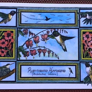 May include: A watercolor painting of a ruby-throated hummingbird with a red throat, perched on a branch of bleeding heart flowers. The painting is divided into nine squares, with the hummingbird in the center square. The text "RUBY-THROATED HUMMINGBIRD (Archilochus colubris)" is written below the hummingbird.