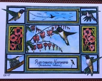 Ruby-throated Hummingbird postcards set of 4 colored postcards on 80# heavy, white cardstock, blank on back. Art by LC DeVona