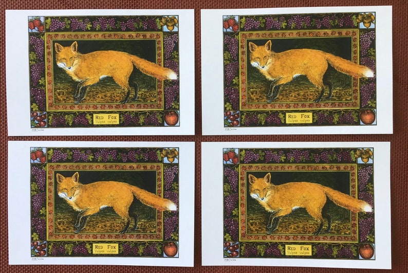 Red Fox set of 4 color postcards on white 80 cardstock drawn by LC DeVona image 4