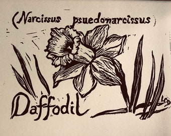 Daffodil - 6-pack of ivory notecards with envelopes- designed, carved and printed by LC DeVona of Farmhouse Greetings