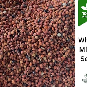 Red and Black Millet(1kg) | Whole Grain | Gluten-Free | 100% Natural | Flourish Palmera