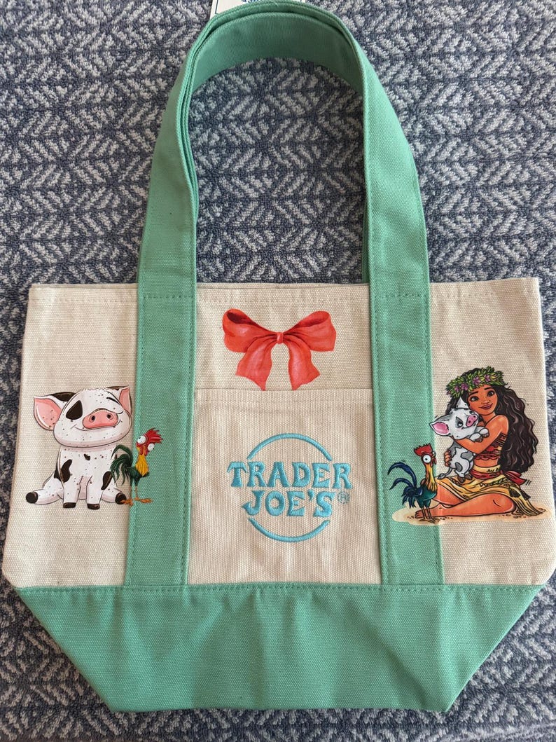 Disney Moana Pua and Hey Hey Custom Made Trader Joes Mini Tote One of a Kind image 7