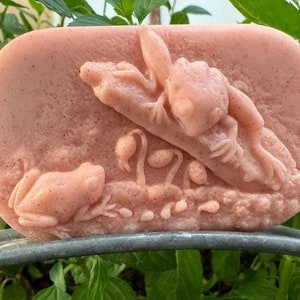 Mama and Baby Frog Soap: Natural Organic Artisan Soap, Garden Aromatherapy
