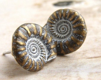 Nautilus Shell Stud earrings, shell post earrings, metal studs natural history shell stud earrings