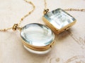 Beveled Glass Locket Necklace: Keepsake Heirloom hair pressed flower locket product logo