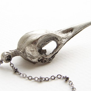 May include: A silver-toned pendant necklace featuring a detailed bird skull design. The skull has a long, pointed beak and a large eye socket. The pendant is attached to a delicate chain.