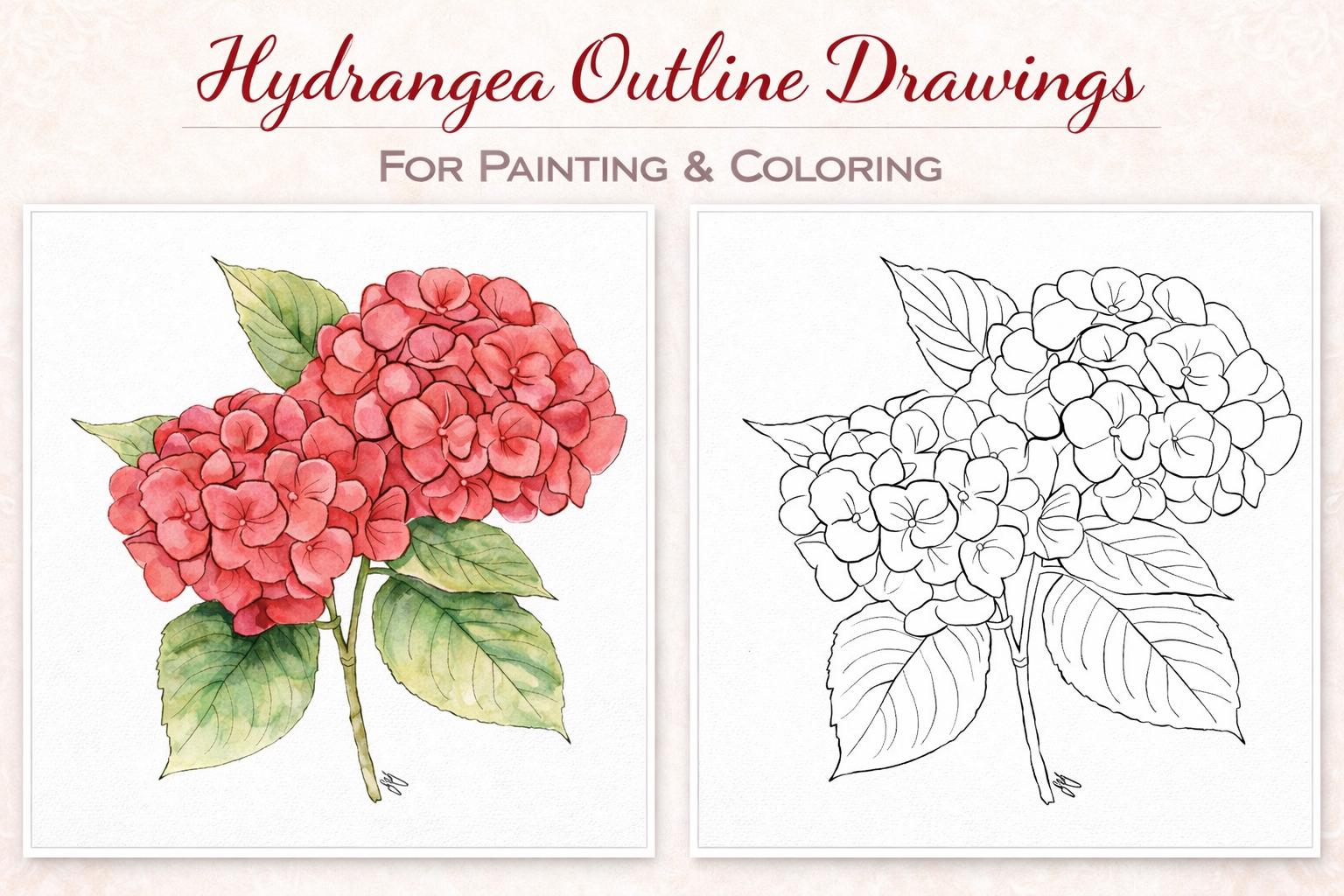 Hydrangea Flower Line Art Printable – Botanical Outline Coloring Page ...
