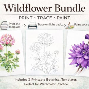 Plantillas de dibujo lineal botánico de flores silvestres, práctica de acuarela, calcar y pintar (PDF)