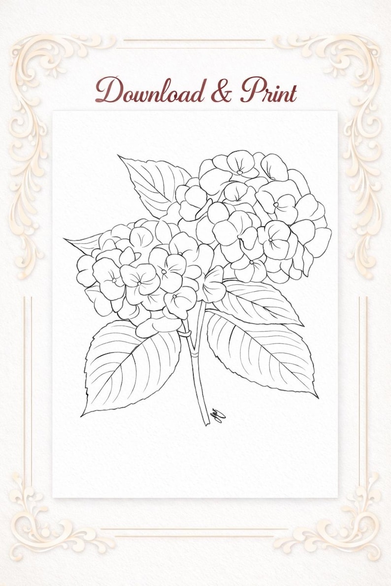 Hydrangea Flower Line Art Printable – Botanical Outline Coloring Page ...