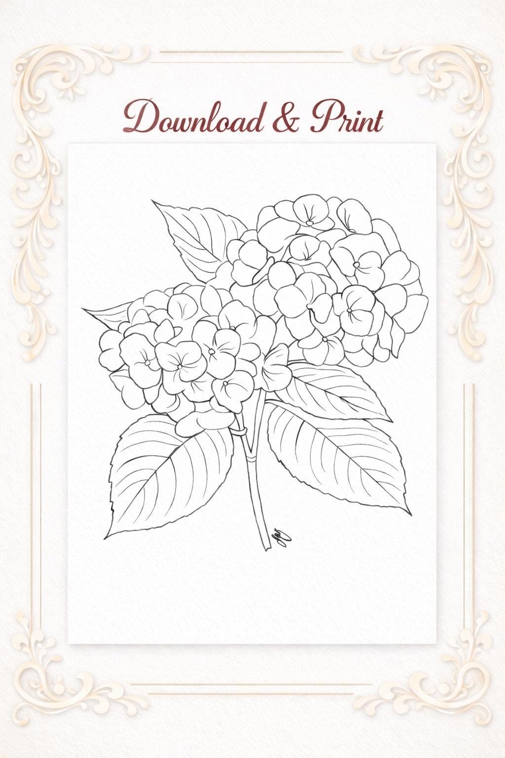 Hydrangea Flower Line Art Printable – Botanical Outline Coloring Page ...