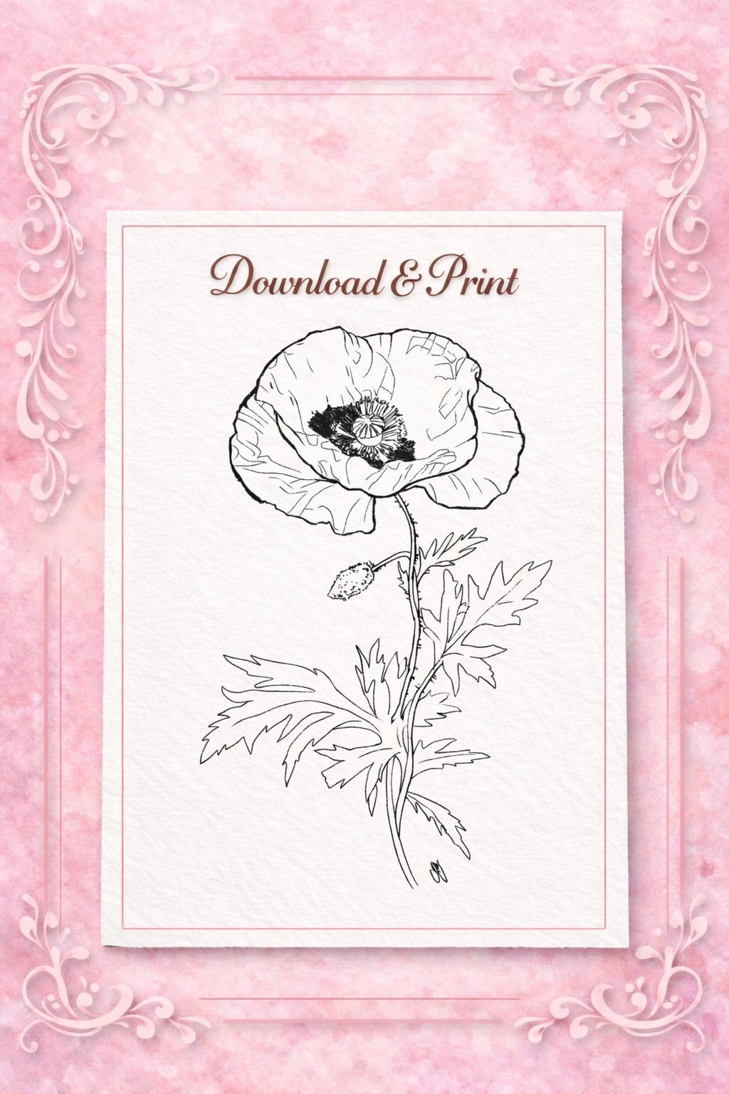 Poppy Flower Outline Trace Drawing – Minimalist Botanical Line Art ...