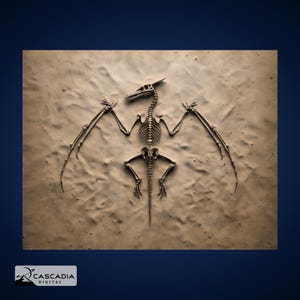 Fossile Pterodactyl - Laser Gravur 4K PNG Bild, Tiefe Karte, Holz Schiefer 3D Illusion - Dino Dinosaurier Tierskelett Jurassic 1269