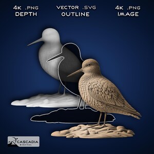 Playero - Imagen PNG 4K grabada con láser, mapa de profundidad, archivo de corte de contorno exacto, ilusión 3D - Animal, vida salvaje, naturaleza, océano, playa, ave 1553