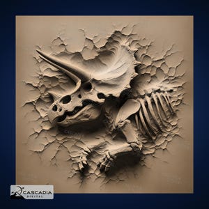 Triceratops Fossil Oberkörper - Laser Gravur 4K PNG Bild, Tiefenkarte, Holz Schiefer 3D Illusion - Dino Dinosaurier Tier Jurassic 1245