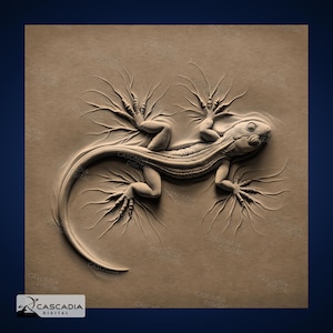 Lagarto eléctrico: imagen PNG 4K grabada con láser, mapa de profundidad, ilusión 3D de pizarra de madera: vida salvaje, naturaleza, reptil, animal 1325