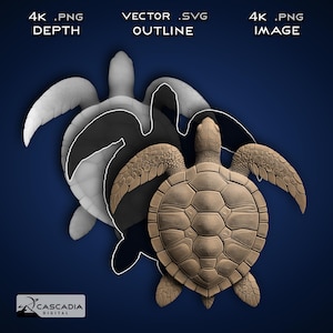 Puede incluir: Un modelo 3D de una tortuga marina, mostrado en tres etapas de creación. La primera imagen muestra un mapa de profundidad blanco 4K de la tortuga. La segunda imagen muestra un contorno vectorial negro de la tortuga. La última imagen muestra una imagen 4K detallada de la tortuga en un color marrón.
