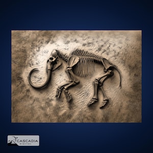 Mammut Fossil voll - Laser Gravur 4K PNG Bild, Tiefe Karte, Holz Schiefer 3D Illusion - Dino Dinosaurier Tier Jurassic 1268