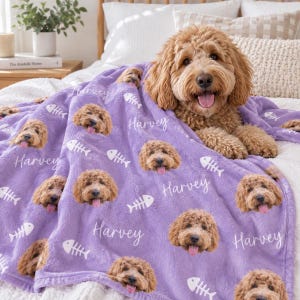 May include: A light purple fleece blanket featuring a repeating pattern of a golden doodle dog face, the name Harvey in white script, and white fish bone icons. A golden doodle dog rests on top of the blanket, which is spread over a bed.