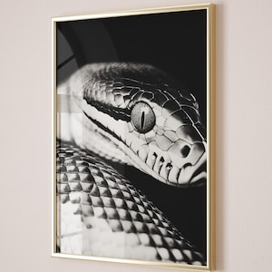 Monochrome Python Snake Poster, Printable Wall Art, Digital Download, Mesmerizing Wildlife Photography, Black & White Office Wall Decor