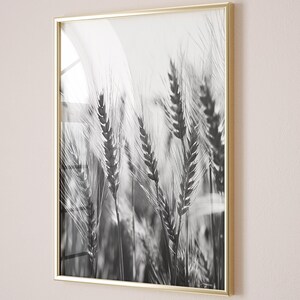 Rustieke tarweveld fotografieprint, digitale download, afdrukbare muurkunst, zwart-wit plattelandslandschap, moderne boerderij wanddecoratie