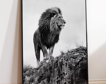 May include: Black and white photograph of a lion standing on a rocky outcrop. The lion has a thick mane and is looking to the right. The background is a blurred out landscape.