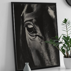 Pôster emocionante de garanhão preto, arte de parede para impressão, download digital, impressão de retrato de animal de estimação de cavalo majestoso, fotografia em close-up em preto e branco