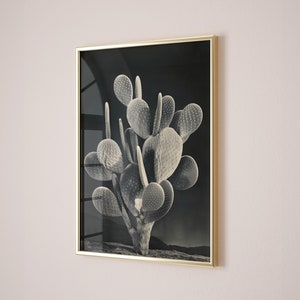 Vintage Kaktus Poster Druck, digitaler Download, druckbare Wandkunst, Monochrome Fine Art, Schwarz & Weiß-Wand-Dekor, Retro botanische Wohnkultur