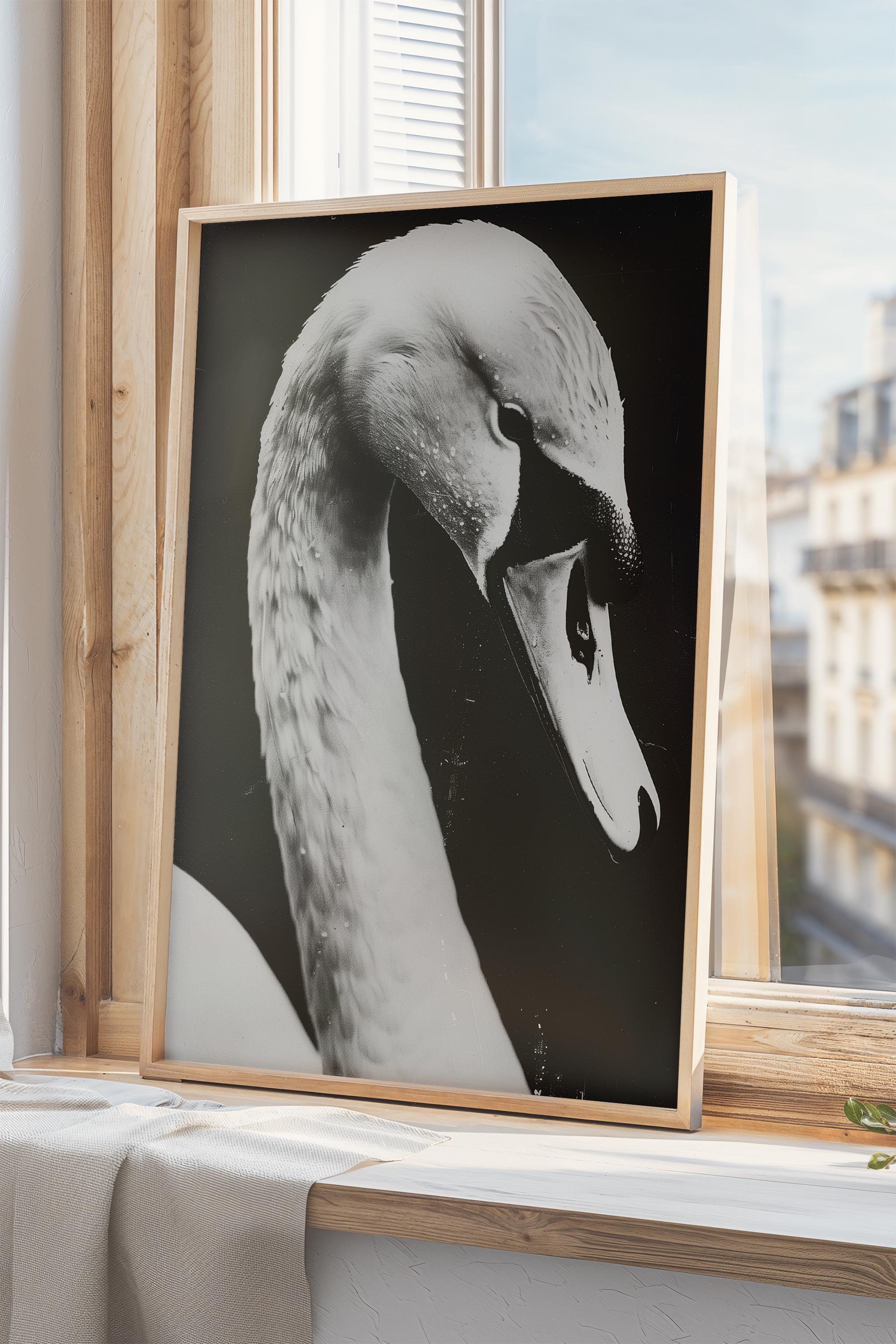Poster vintage di cigno, stampa vintage di cigno, stampa antica, decorazione murale, arte murale per la cameretta dei bambini, cigno antico, dipinto di cigno, arte murale, - Italia