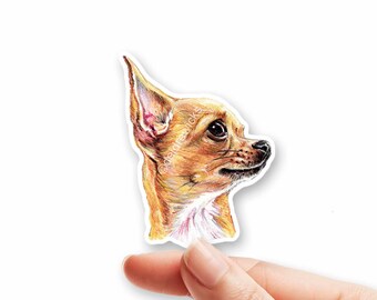 117 In Case of Emergency Rescue My Chihuahua Die Cut Vinyl Sticker dog safety